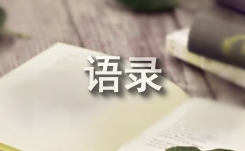 關于董卿的經典語錄